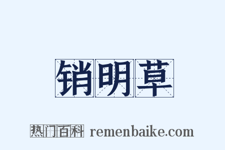 销明草是什么意思的图片